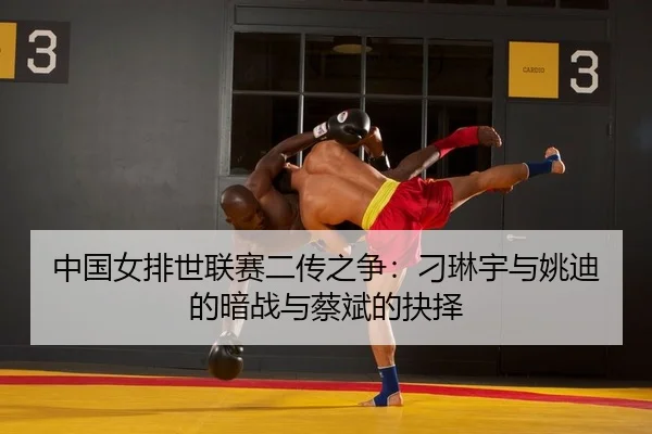 zhong-guo-nv-pai-shi-lian-sai-er-chuan-zhi-zheng-diao-lin-yu-yu-yao-di-de-an-zhan-yu-cai-bin-de-jue-ze-2-785.jpg